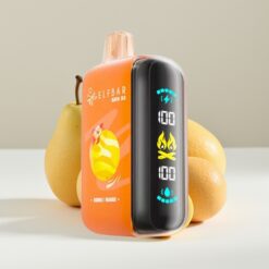ELF BAR RAYA D3 25000 Puffs Wegwerp Vape Dubbel Mango - 23ml, 5% Nicotine, 850mAh, Type-C