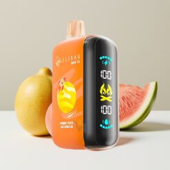 ELF BAR RAYA D3 25000 Puffs Wegwerp Vape met 23ml E-liquid en 850mAh Oplaadbare Battery - Mango Perzik Watermeloen