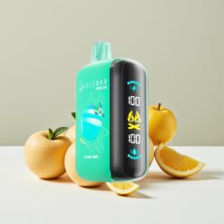 ELF BAR RAYA D3 25000 Puffs Wegwerp Vape met 850mAh Accu en 23ml Alpine Munt