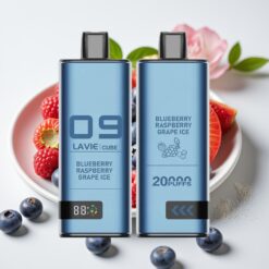 Lavie Cube 20000 Puffs Wegwerp Vape Bosbes Framboos Druif Ijs – 28ML Vloeistof, Type C Opladen